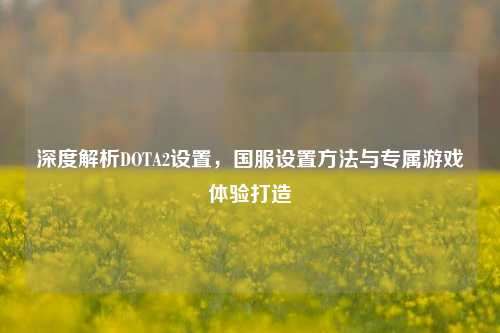 深度解析DOTA2设置,国服设置方法与专属游戏体验打造