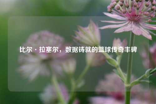 比尔·拉塞尔,数据铸就的篮球传奇丰碑