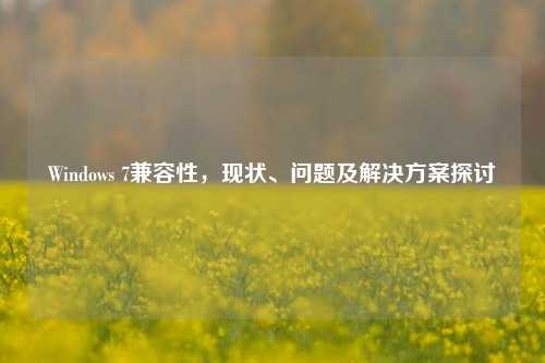 Windows 7兼容性，现状、问题及解决方案探讨