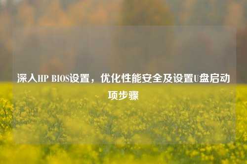 深入HP BIOS设置，优化性能安全及设置U盘启动项步骤