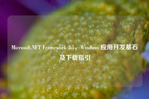 Microsoft.NET Framework 3.5，Windows 应用开发基石及下载指引
