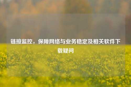 链接监控，保障网络与业务稳定及相关软件下载疑问