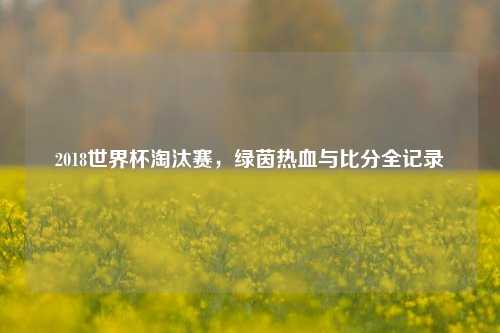 2018世界杯淘汰赛,绿茵热血与比分全记录