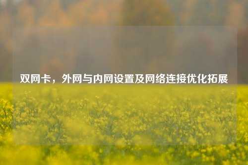 双网卡，外网与内网设置及网络连接优化拓展