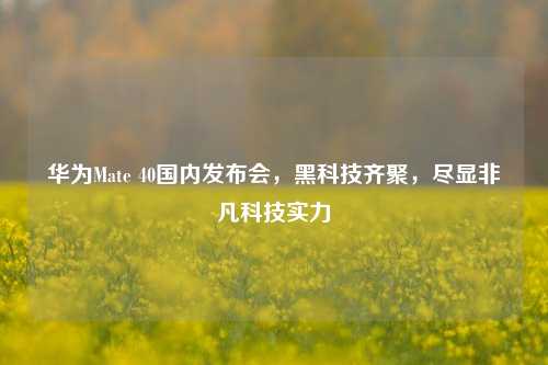 华为Mate 40国内发布会,黑科技齐聚,尽显非凡科技实力