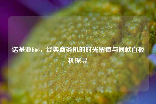 诺基亚E66，经典商务机的时光留痕与同款直板机探寻
