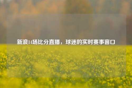 新浪14场比分直播，球迷的实时赛事窗口
