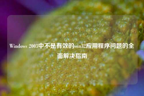 Windows 2003中不是有效的win32应用程序问题的全面解决指南