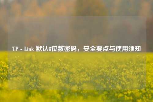 TP - Link 默认8位数密码，安全要点与使用须知