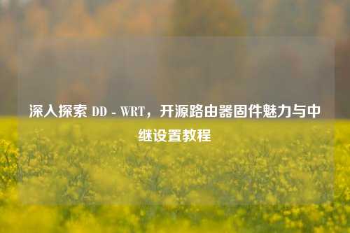 深入探索 DD - WRT，开源路由器固件魅力与中继设置教程