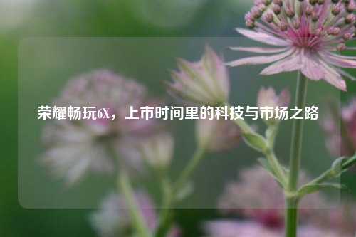 荣耀畅玩6X，上市时间里的科技与市场之路