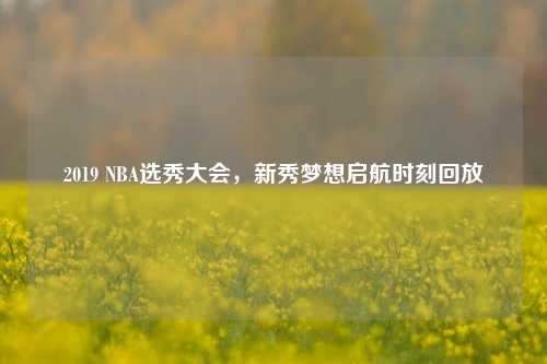 2019 NBA选秀大会,新秀梦想启航时刻回放
