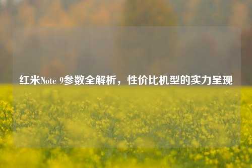 红米Note 9参数全解析，性价比机型的实力呈现