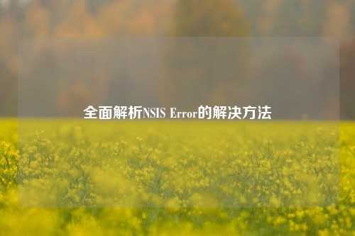 全面解析NSIS Error的解决方法