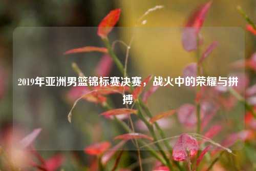 2019年亚洲男篮锦标赛决赛，战火中的荣耀与拼搏