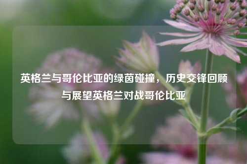 英格兰与哥伦比亚的绿茵碰撞,历史交锋回顾与展望英格兰对战哥伦比亚