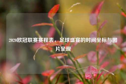 2020欧冠联赛赛程表，足球盛宴的时间坐标与图片呈现
