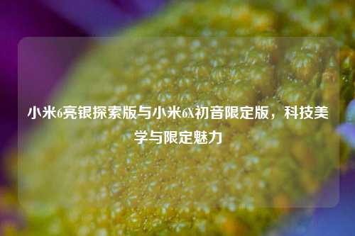 小米6亮银探索版与小米6X初音限定版,科技美学与限定魅力