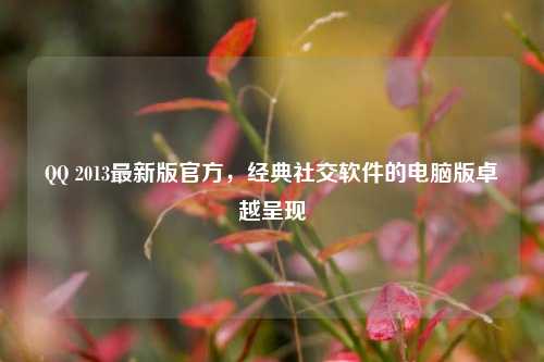 QQ 2013最新版官方，经典社交软件的电脑版卓越呈现