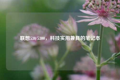 联想530/5300,科技实用兼具的笔记本
