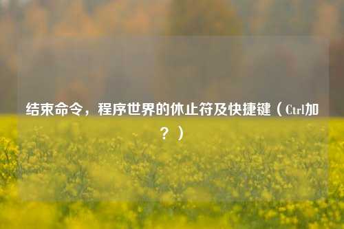 结束命令，程序世界的休止符及快捷键（Ctrl加？）