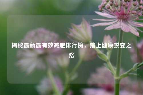 揭秘最新最有效减肥排行榜,踏上健康蜕变之路