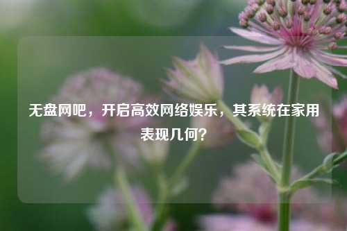 无盘网吧，开启高效网络娱乐，其系统在家用表现几何？