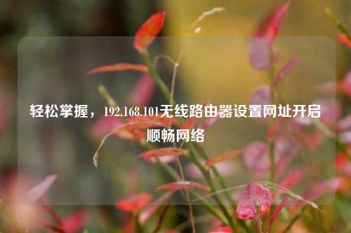 轻松掌握，192.168.101无线路由器设置网址开启顺畅网络