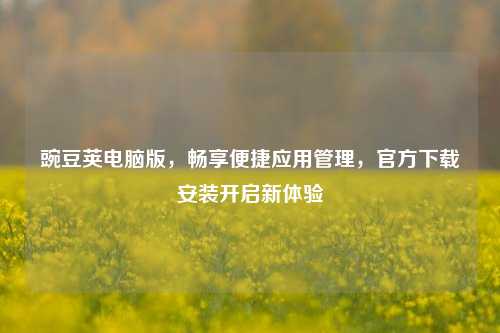 豌豆荚电脑版，畅享便捷应用管理，官方下载安装开启新体验