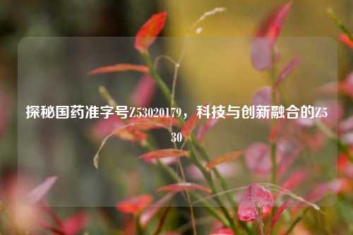 探秘国药准字号Z53020179，科技与创新融合的Z530