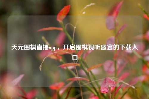 天元围棋直播app，开启围棋视听盛宴的下载入口
