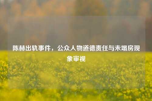 陈赫出轨事件，公众人物道德责任与未塌房现象审视