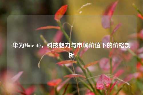 华为Mate 40，科技魅力与市场价值下的价格剖析