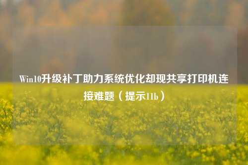 Win10升级补丁助力系统优化却现共享打印机连接难题(提示11b)