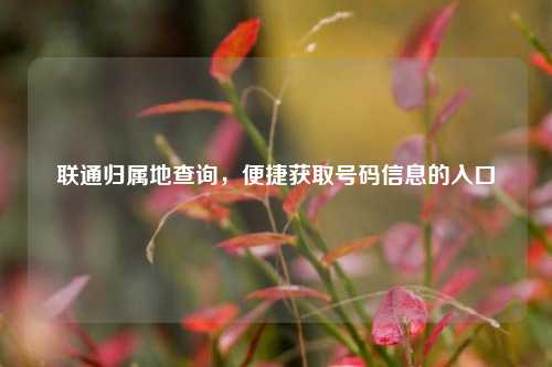 联通归属地查询，便捷获取号码信息的入口