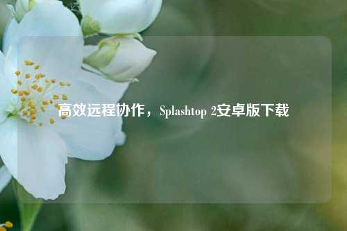 高效远程协作,Splashtop 2安卓版下载