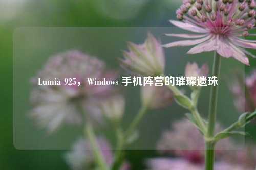 Lumia 925，Windows 手机阵营的璀璨遗珠