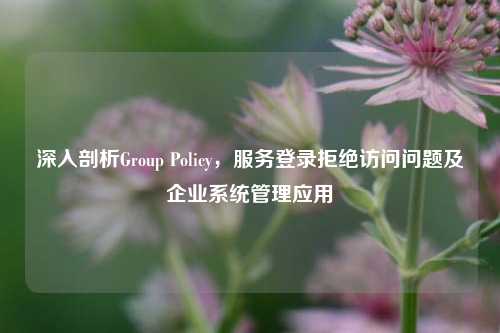 深入剖析Group Policy，服务登录拒绝访问问题及企业系统管理应用