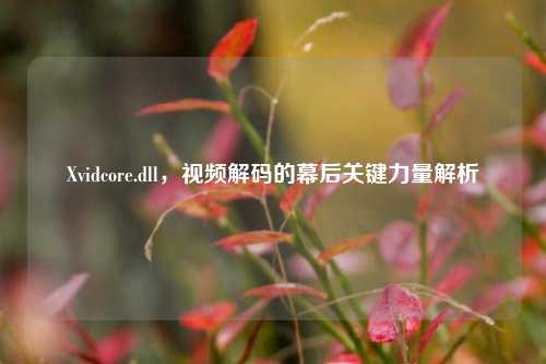Xvidcore.dll,视频解码的幕后关键力量解析