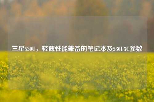 三星530U，轻薄性能兼备的笔记本及530U3C参数