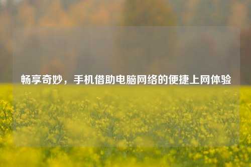 畅享奇妙,手机借助电脑网络的便捷上网体验