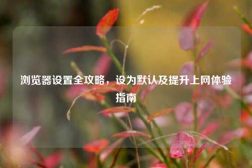 浏览器设置全攻略，设为默认及提升上网体验指南