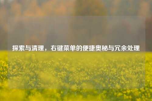 探索与清理,右键菜单的便捷奥秘与冗余处理