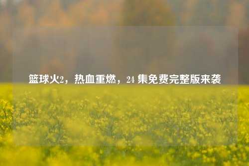 篮球火2，热血重燃，24 集免费完整版来袭
