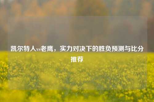凯尔特人vs老鹰，实力对决下的胜负预测与比分推荐