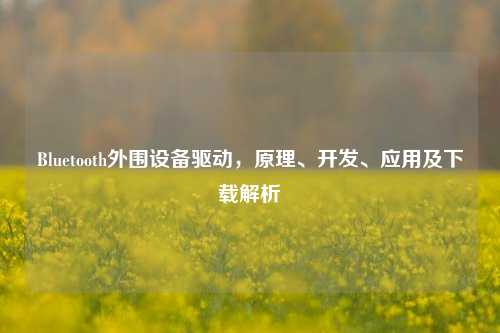 Bluetooth外围设备驱动,原理、开发、应用及下载解析