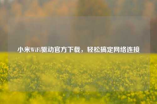 小米WiFi驱动官方下载，轻松搞定网络连接