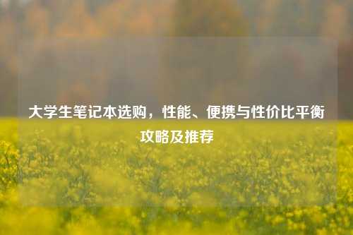 大学生笔记本选购，性能、便携与性价比平衡攻略及推荐