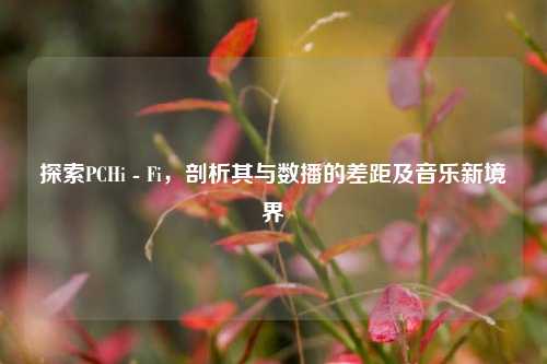 探索PCHi - Fi，剖析其与数播的差距及音乐新境界