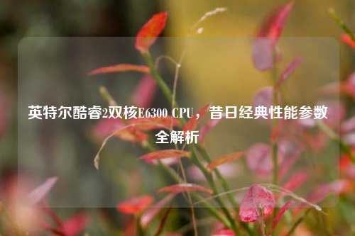 英特尔酷睿2双核E6300 CPU，昔日经典性能参数全解析